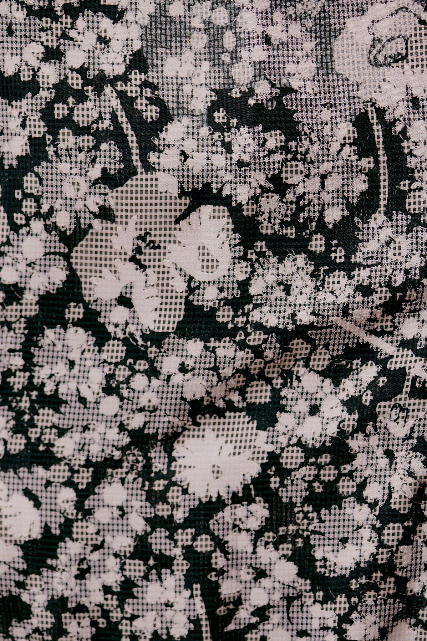 Daisy Dress Black Print